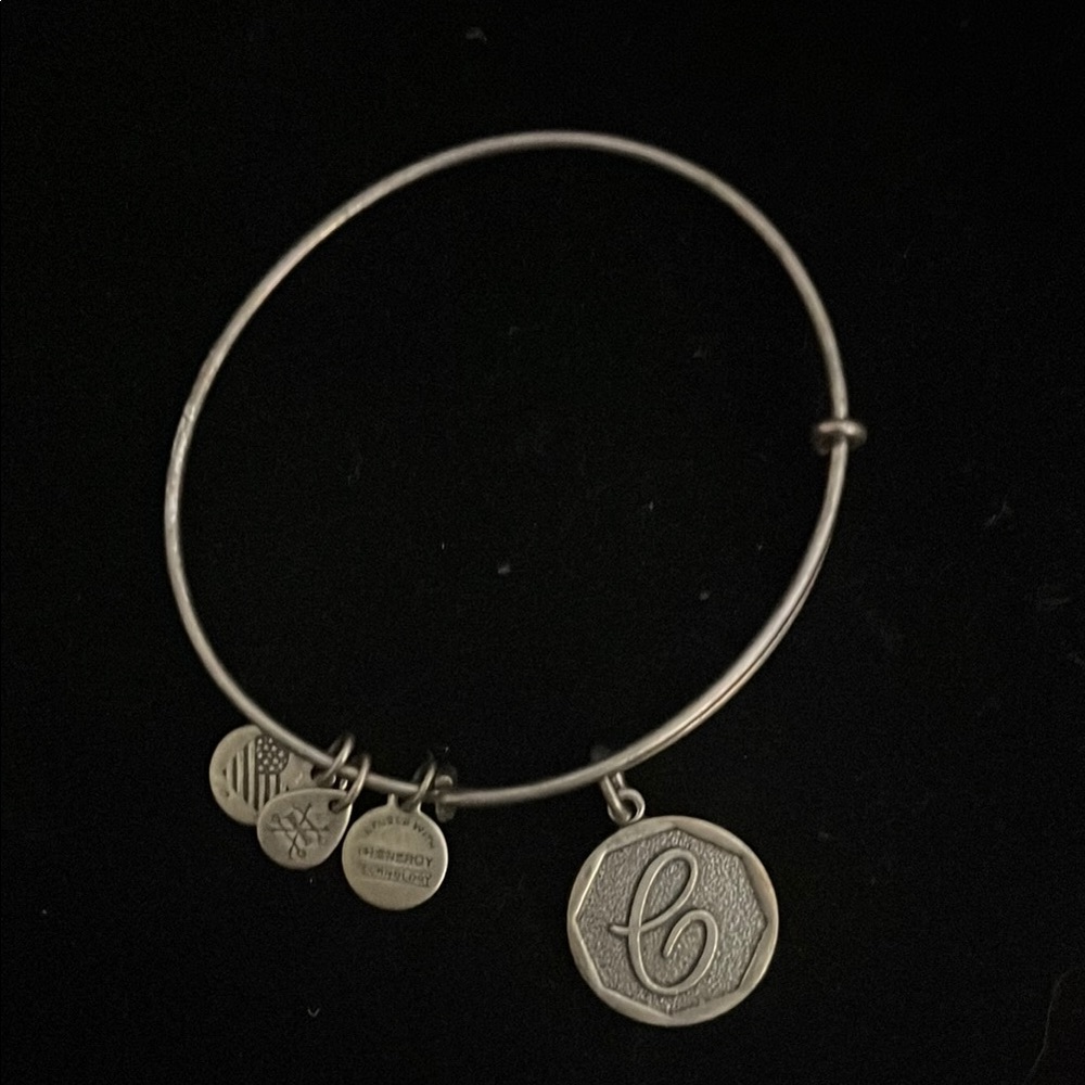 Alex and Ani Silver Charm Bracelet